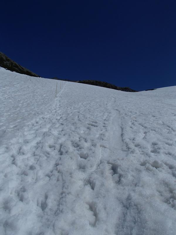 私がソリで滑った跡。傾斜があるので良く滑ってテンション上がる！午前中は雪が固かったですが、下山時はグザグザの雪