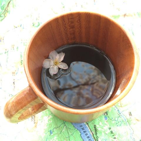 落ちてた桜をコーヒーに浮かべてみる。