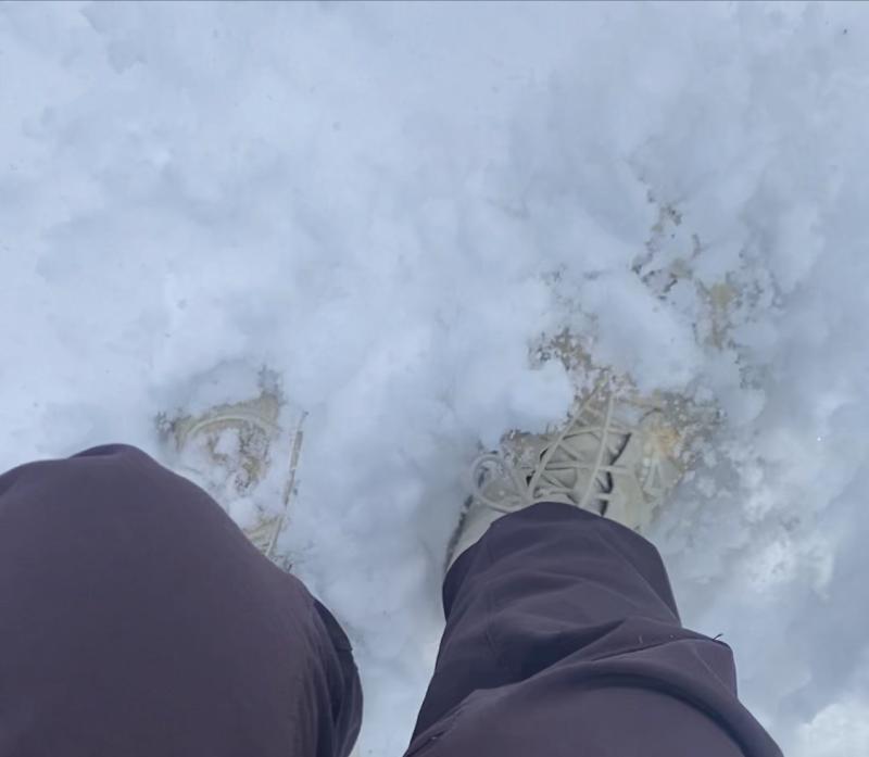 雪が積もっててびっくり