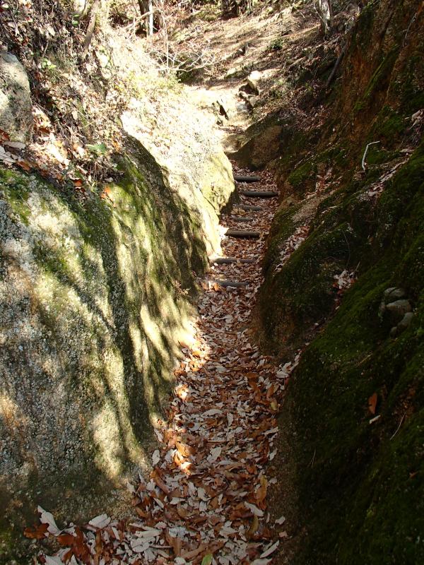 風化した花崗岩の道