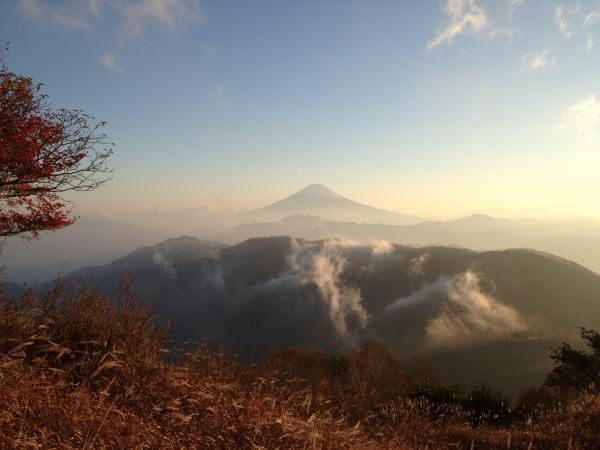 絵のような風景