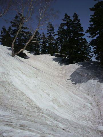 ナチュラルパイプです。楽しい！