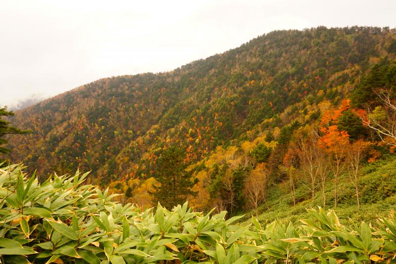 恵那山から紅葉を望む