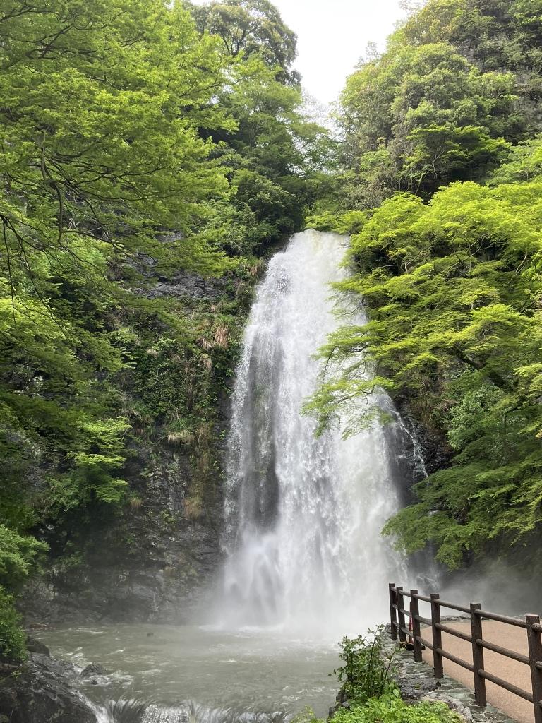 豪快な水しぶき