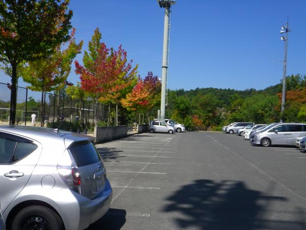 駐車場。少し紅葉してます！