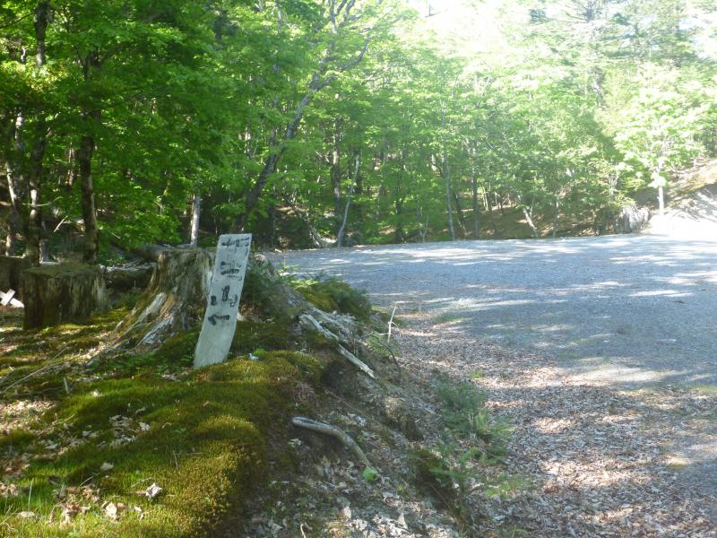 林道を１時間も歩けば、開けた場所に着き、そこが登山口です。あとで判明しますが、これから目指すシャウヅ山を漢字で書くと、「栃生山」となるそうです。