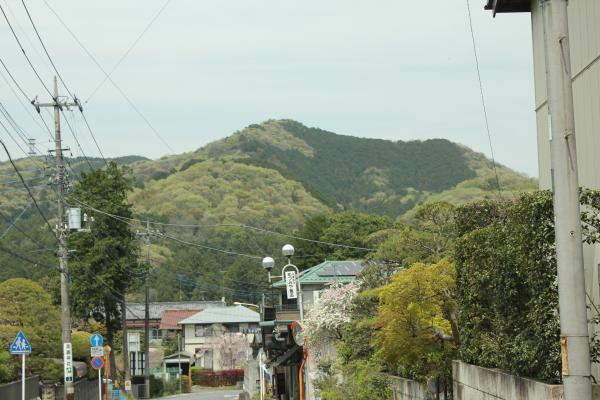 スタート地点の高麗駅からすぐに日和田山は見えます。どっしりとした山容です。