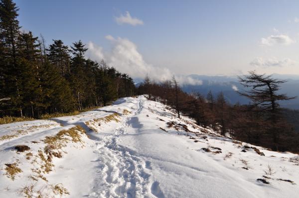 小雲取から山頂直下まではまったいらで一直線。景色もとてもよいです～