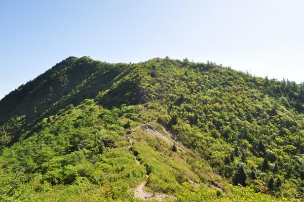 見晴らしの良い稜線が続く西赤石山