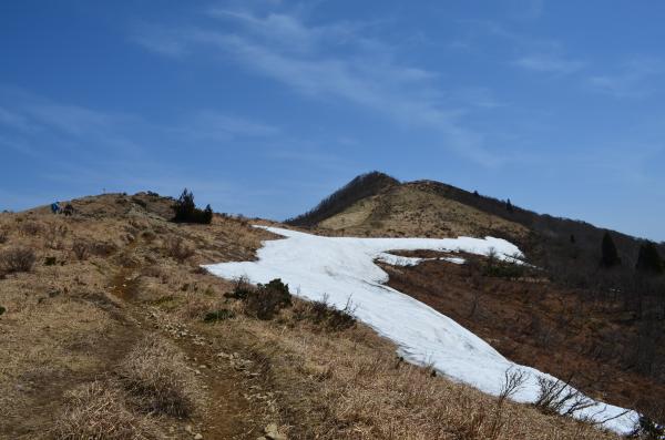 武奈ヶ岳山頂の手前に少し雪が残っています