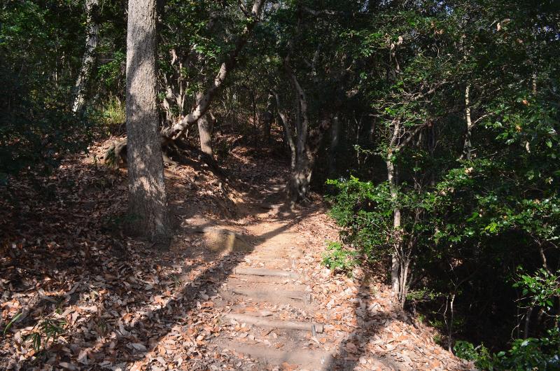 梅ノ木畑周遊路は歩きやすい登山道です