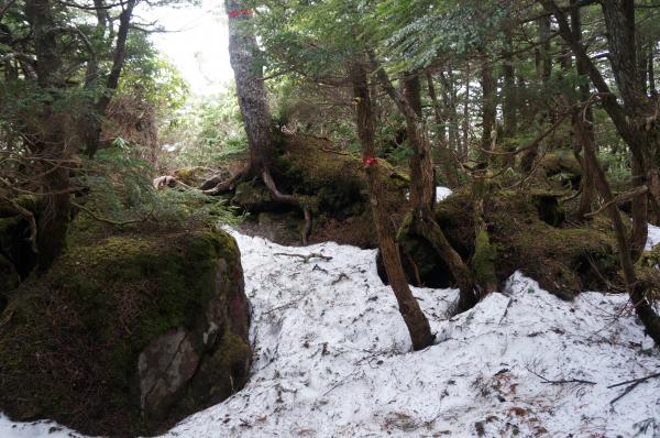 大岳への登り。雪と岩がたくさん。テント泊装備だとふらつきます＞＜