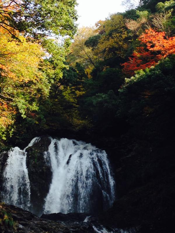 紅葉と滝。