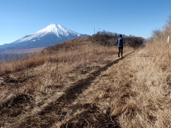 富士山を愛でるトレイル