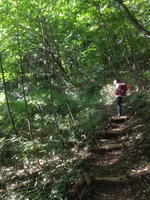 道は歩きやすいです