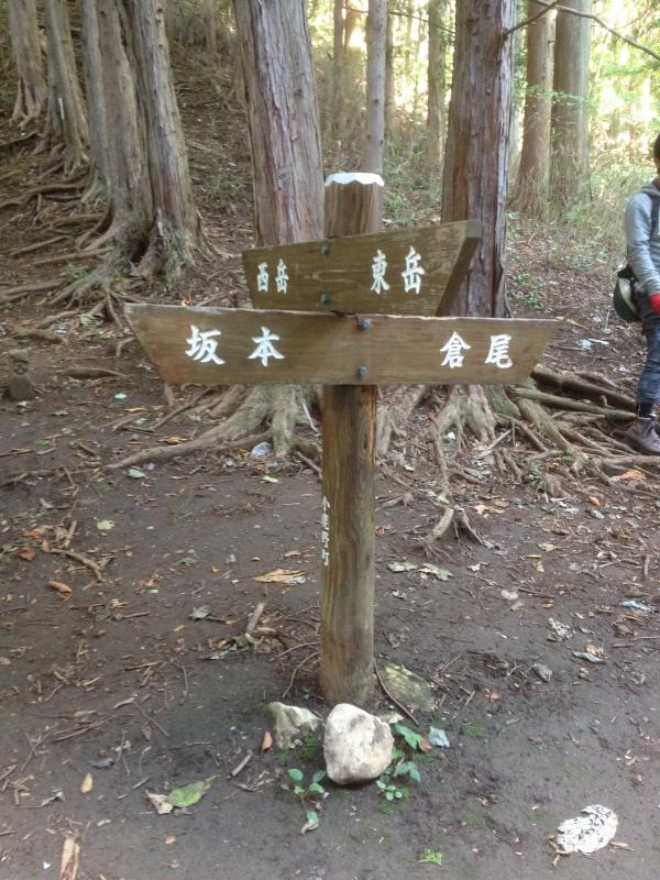 分岐の看板はしっかりと