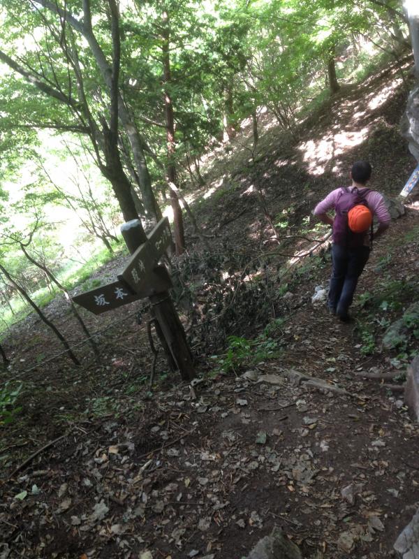 道迷いの心配は無いです