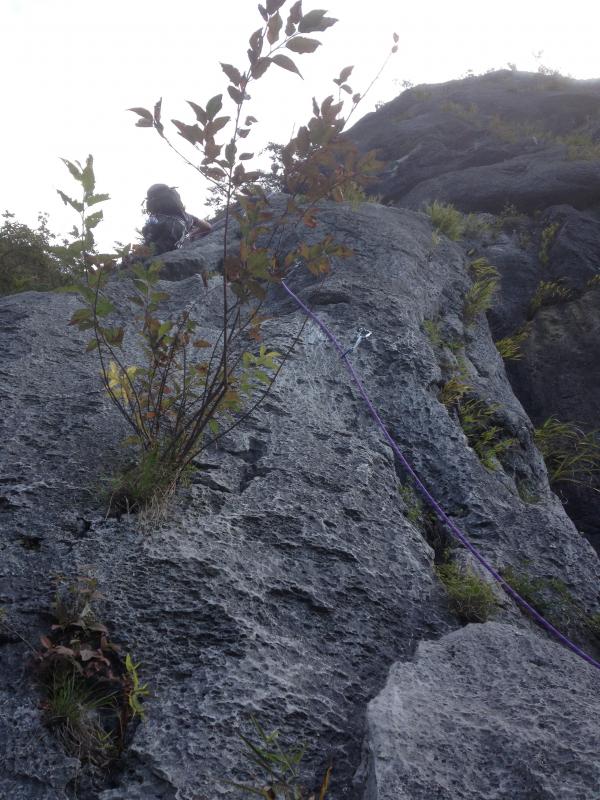 先行PTがいました