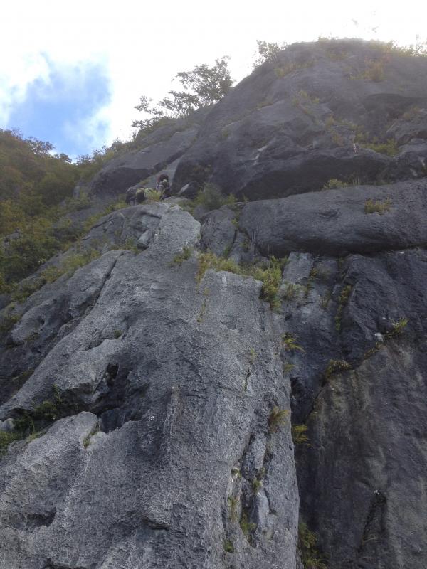 少し左がルートです