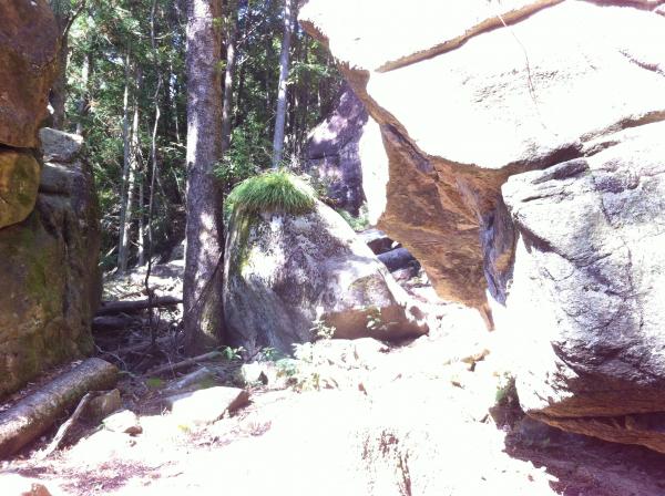 エルの岩より西にあるペネロープ岩横に蜂の巣がありました、注意