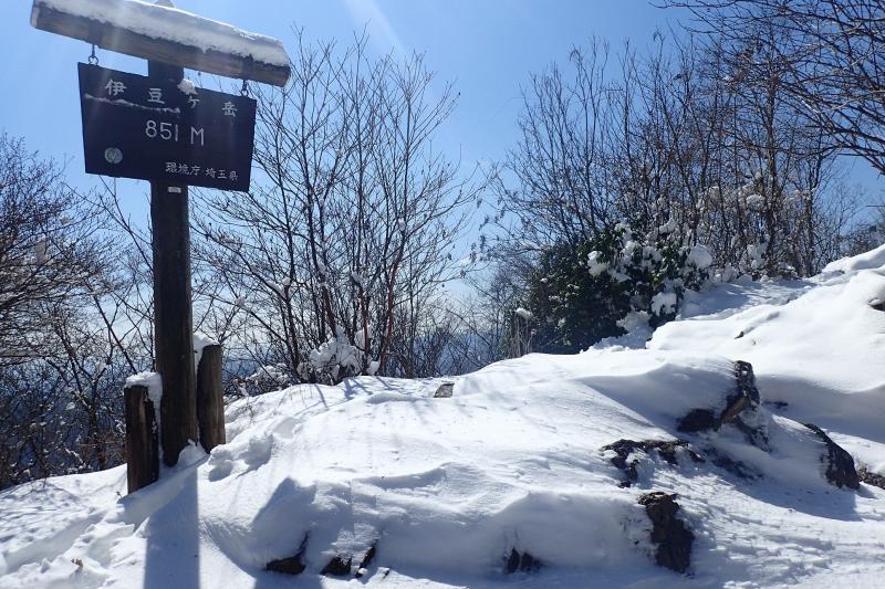 伊豆ヶ岳の山頂　風が強かったです。
