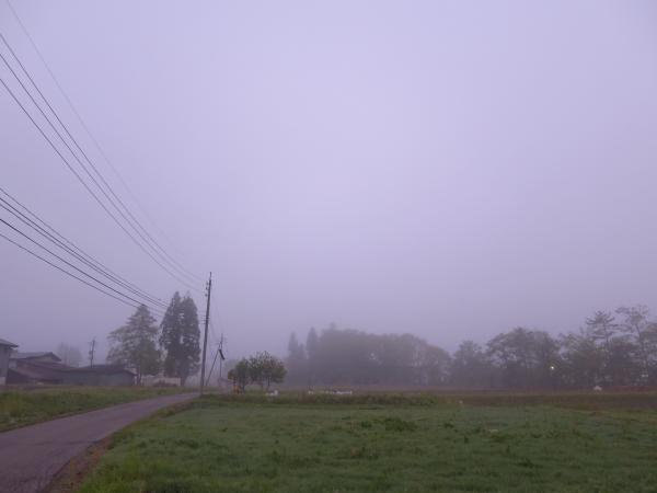 濃霧の中スタート