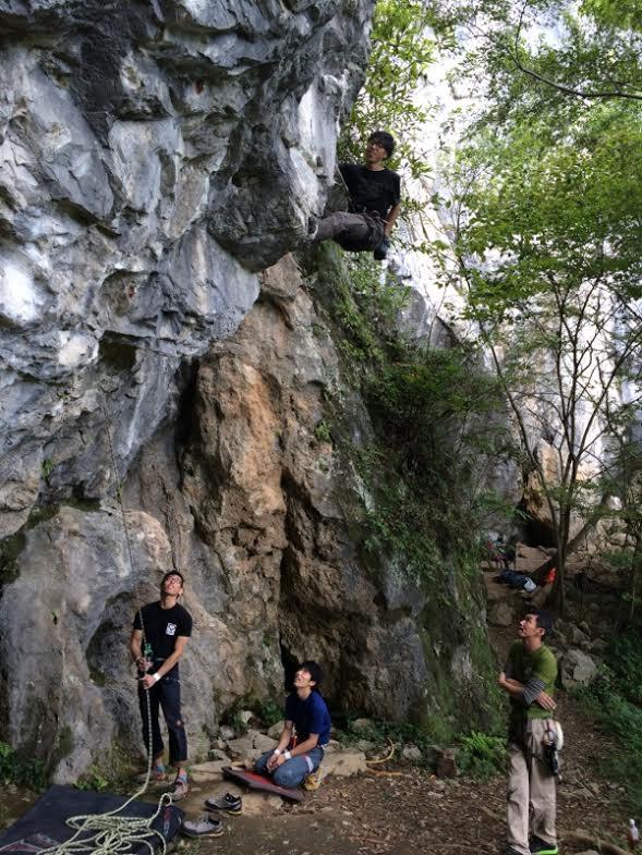 11ｃ「フリッカー」