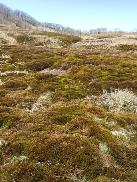 急に雰囲気かわります