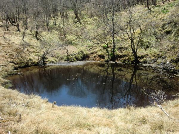 小池がちらほら