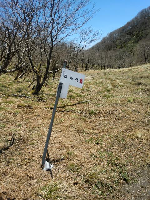 道標いらないくらいの一本