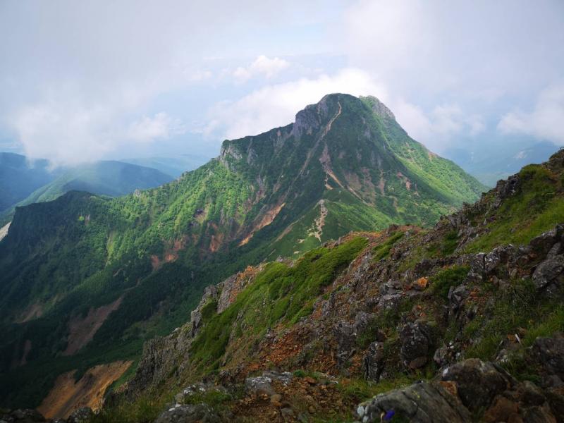 山頂から緑濃い阿弥陀岳。