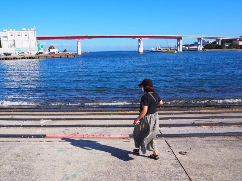 港に戻ってきました。城ヶ島と三崎港を繋ぐ城ヶ島大橋が見えます。