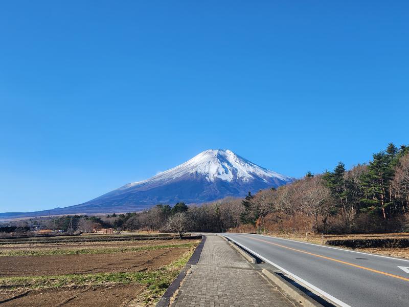バスを降りて下から見上げた富士山。