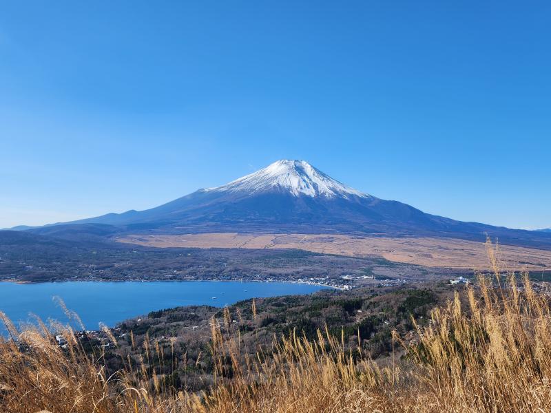 大平山から山中湖と富士山。素晴らしい眺めです。