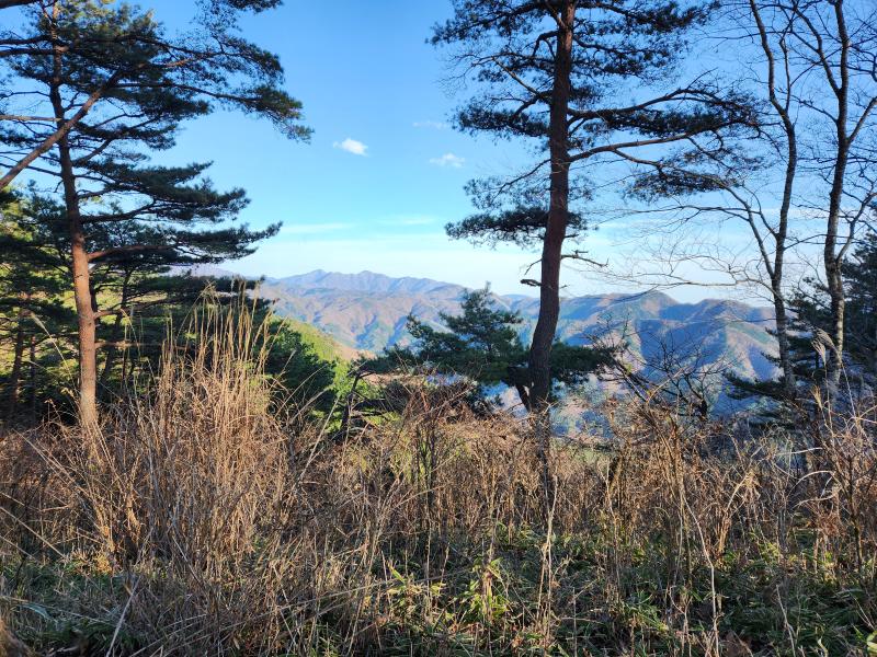 東側は丹沢の山々。桧洞丸や蛭ヶ岳が見えます。