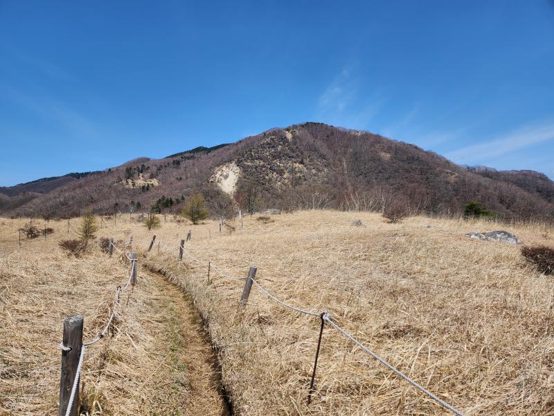 大倉高丸へ向かう道は清々しい草原となります。白谷ノ丸が見えています。
