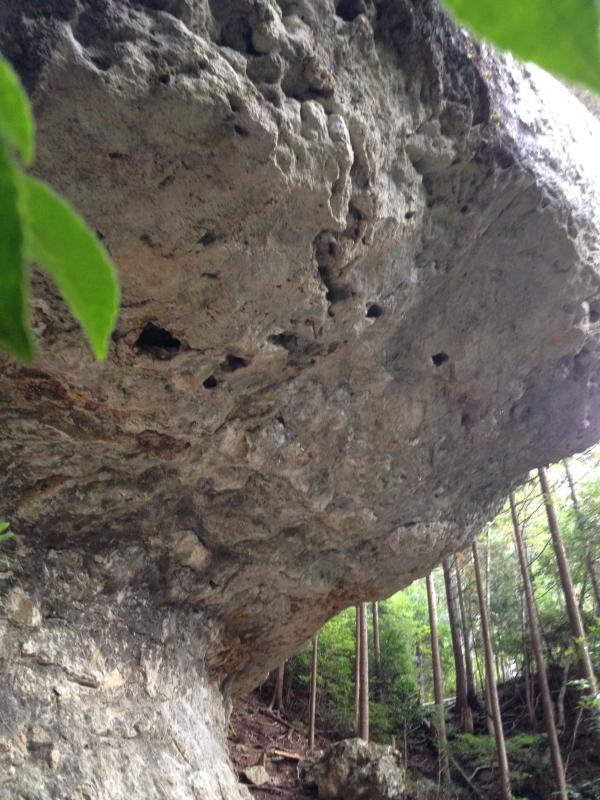 日本最強クラスの強傾斜であるハイカラ岩!!いずれは！