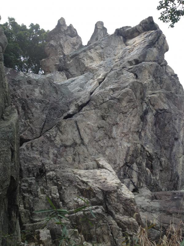 千石岩　メインフェイス。一般的な岩場に比べて変わった形の岩。