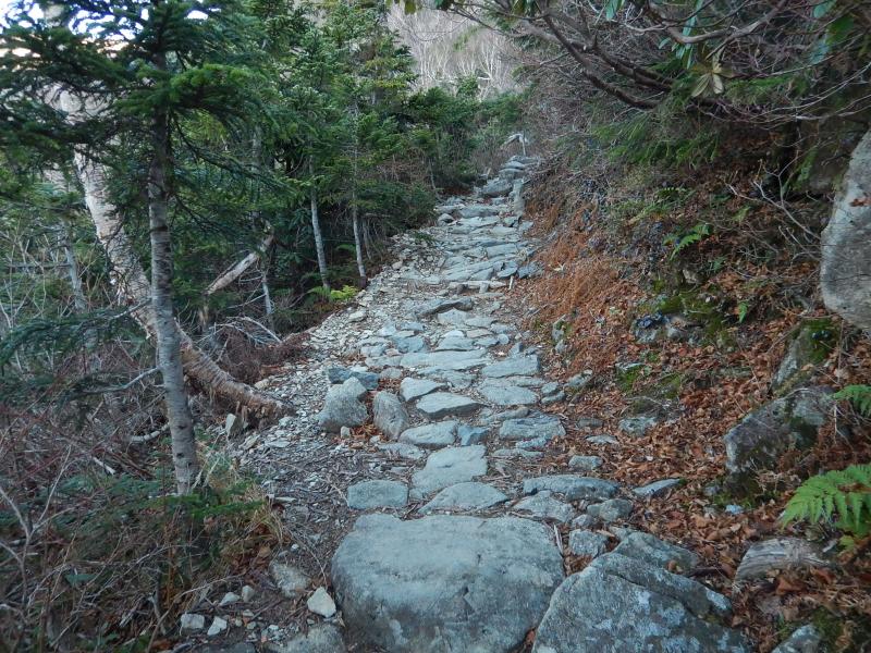 石畳上の登山道で歩きやすい。