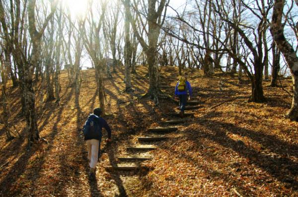 鍋割山への最後の登り