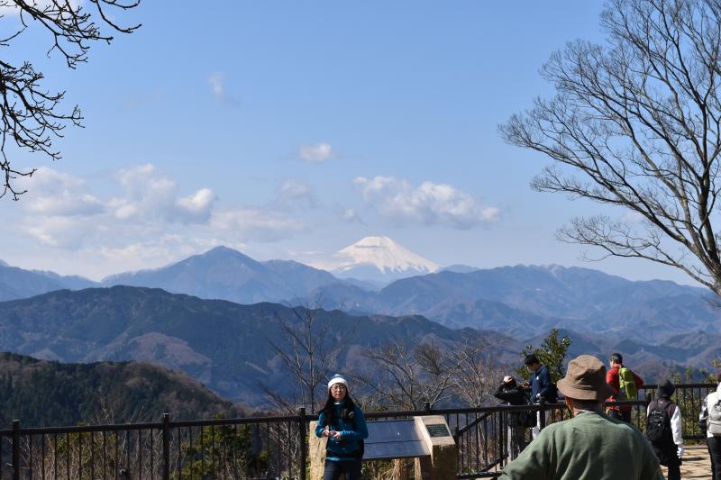 富士山も綺麗に見えました