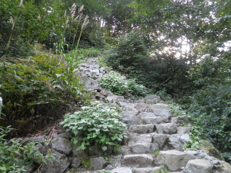 すごく歩き易い階段ですが帰りは滑りやすい階段に。