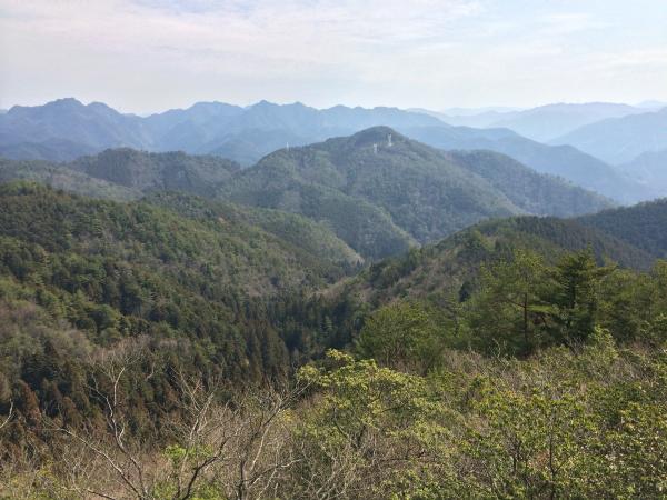 春山ハイク！かなり暖かい日でした。