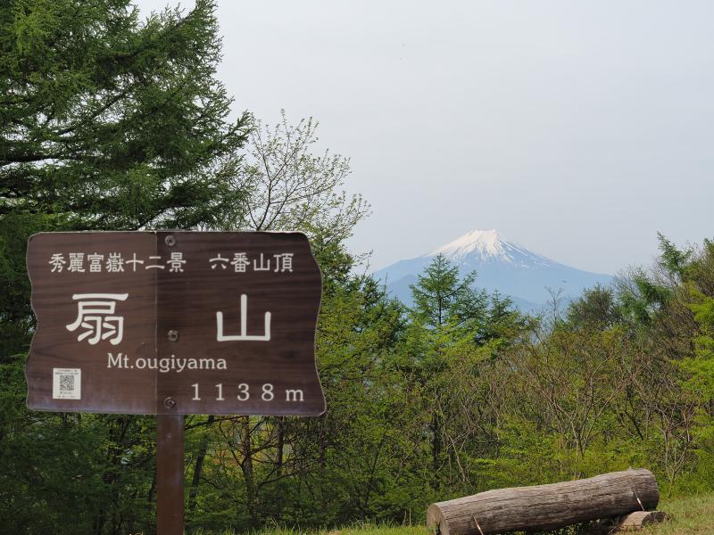 いくらか急坂はありましたが危険なところはなく扇山に到着。富士山がよく見えています。