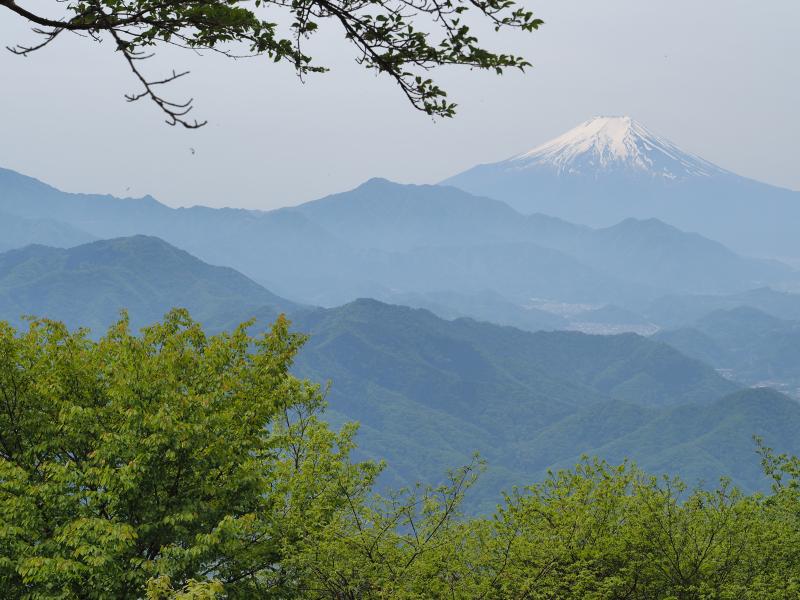 新緑の秀麗富嶽十二景　扇山・百蔵山