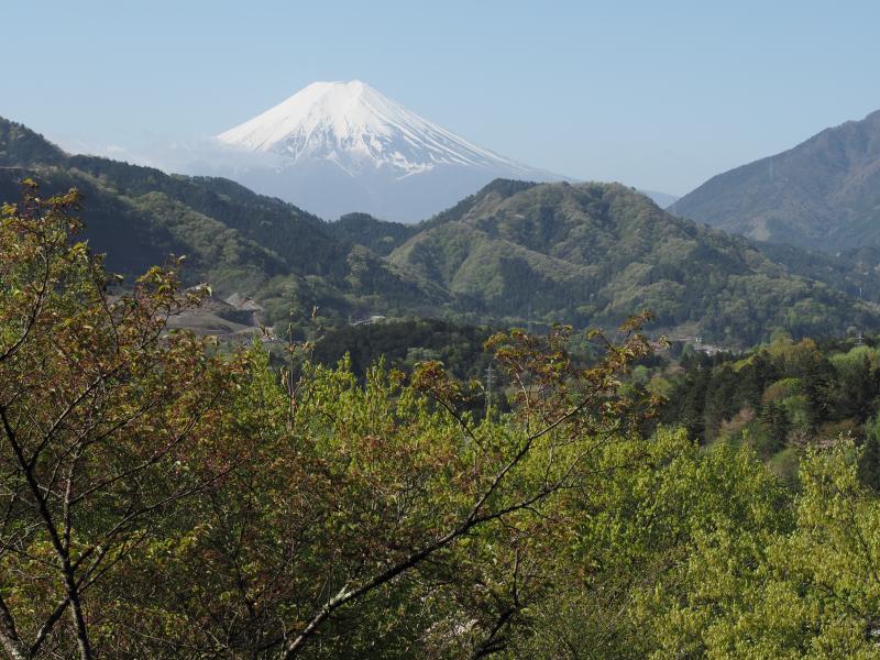 秀麗富嶽十二景　お伊勢山からの富士山