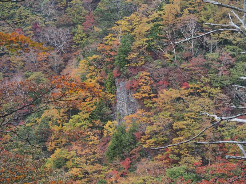 対岸に見える岩場の紅葉も色とりどり