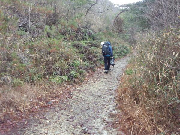 アプローチ。地面がぬれていました。