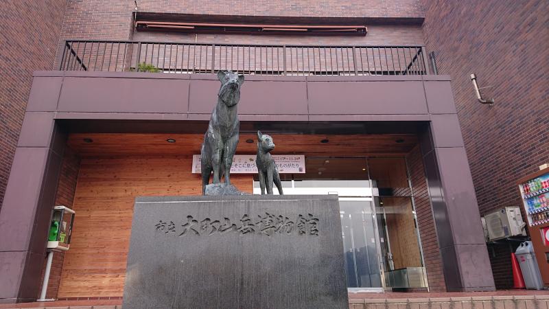 大町山岳博物館のカモシカ。この博物館はずっと来たいと思っていた、やっと来れた。