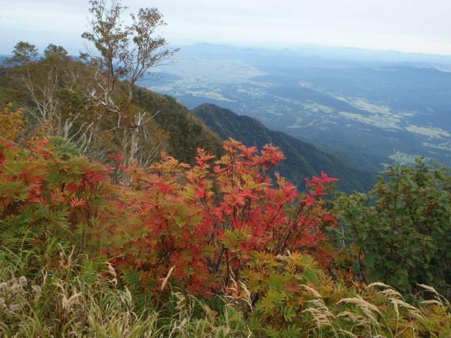 妙高山山頂付近の紅葉